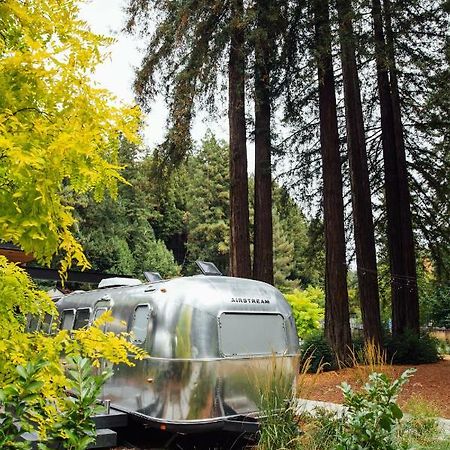 Autocamp Russian River เกอร์นวิลล์ ภายนอก รูปภาพ