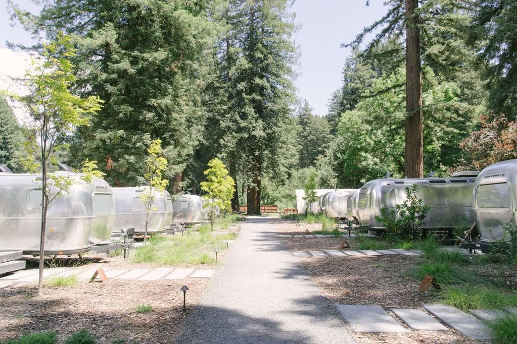 Autocamp Russian River เกอร์นวิลล์ ภายนอก รูปภาพ